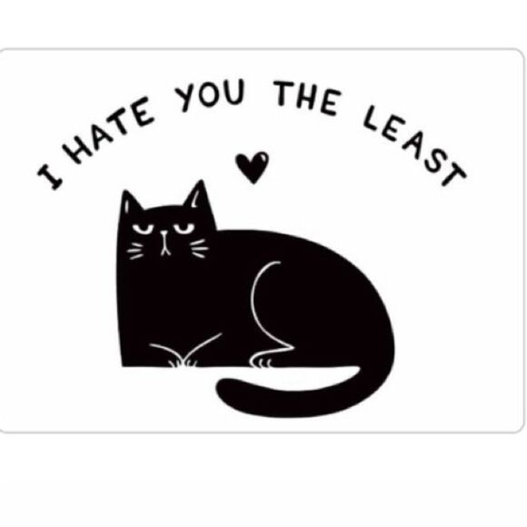 “I Hate You the Least” Cat Magnet - Picture 2 of 2